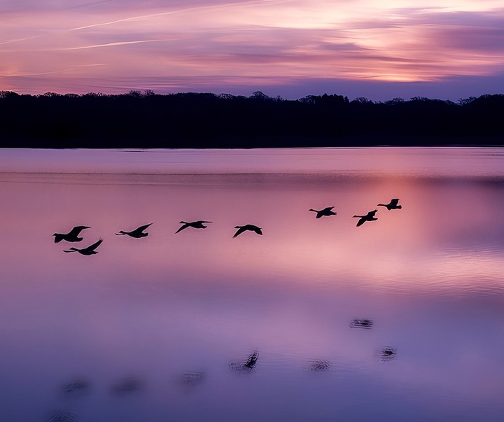 Gallery of Photography by Joanna Steidle - USA