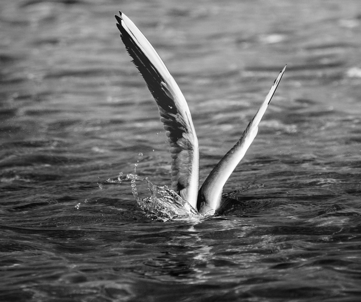 Gallery of photography by Hany Hossameldin - Egypt