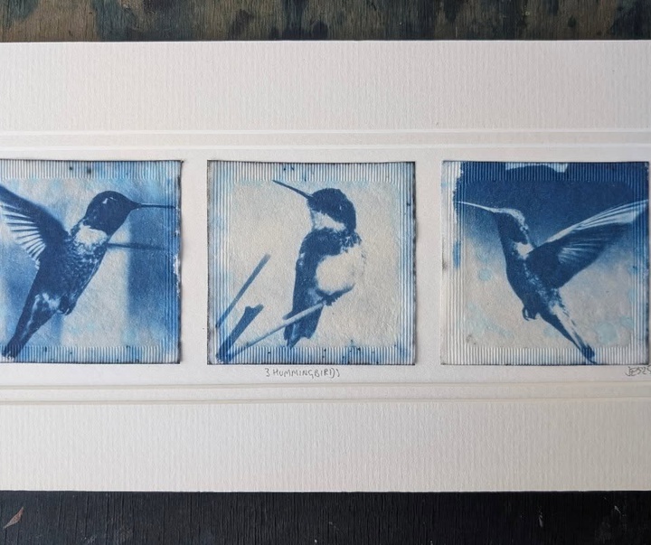 Gallery of Painting & Photography by Jane Constable - UK