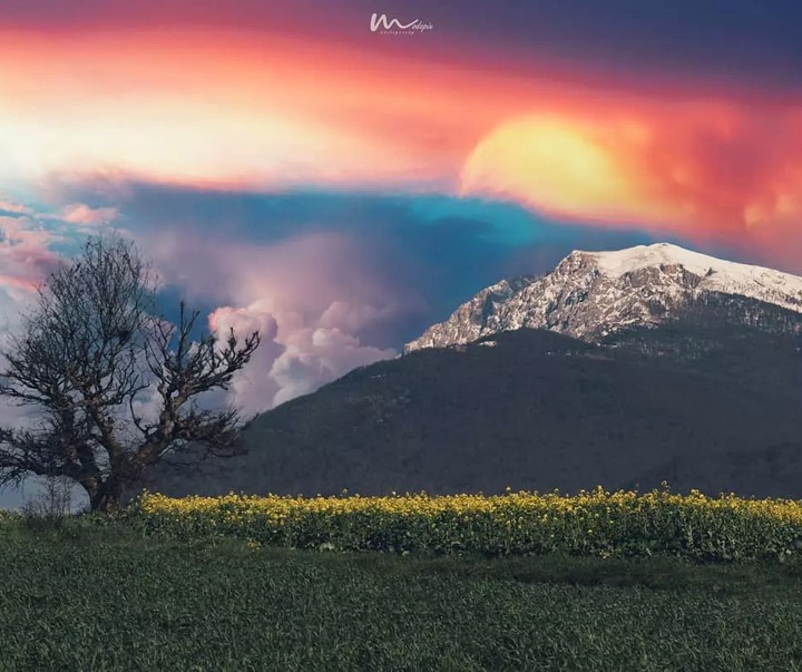 Gallery of Landscape Photography by Mojtaba Dori-Iran