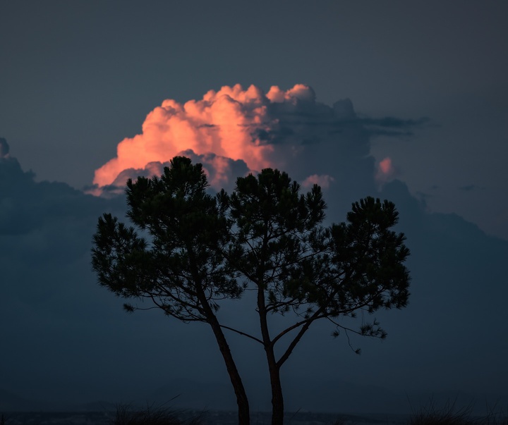 Gallery of Photography by Dani Guindo - Spain