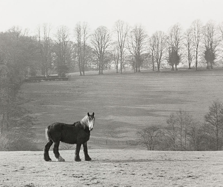 Gallery of Photos by Henri Cartier-Bresson-50s & 60s