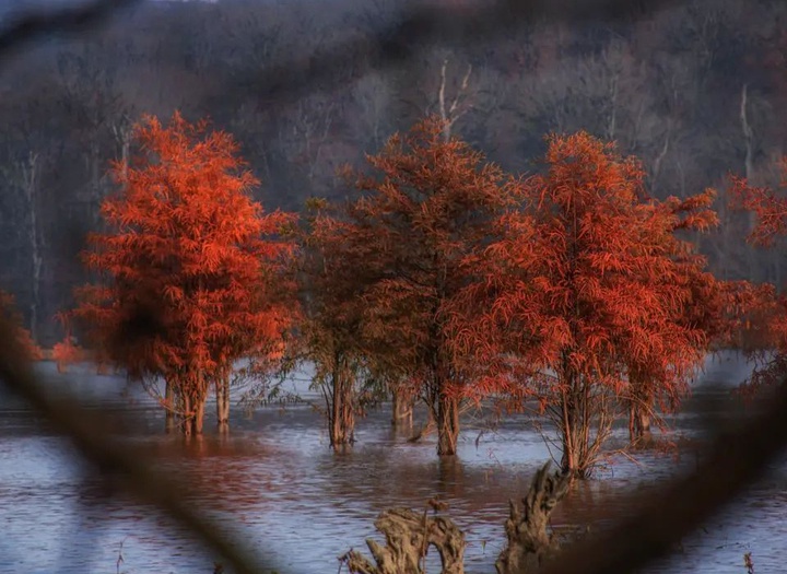 Gallery of Photography by Javad Jahanbin- Iran