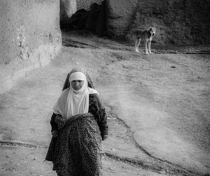 Gallery of Photos by Mojtaba Gitinezhad-Iran