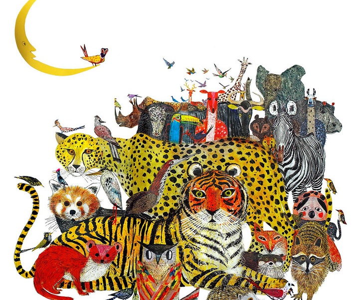 Gallery of Illustration by Brian Wildsmith - UK