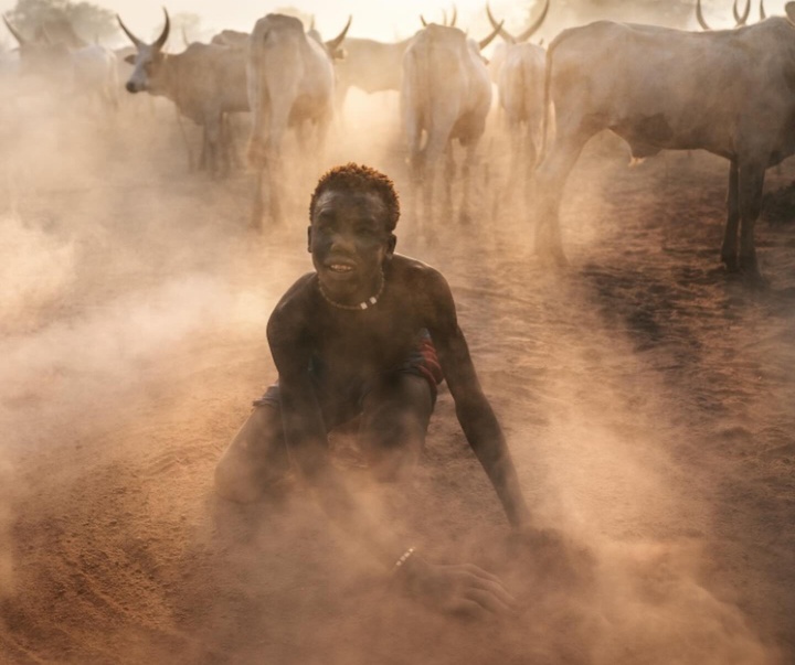 Gallery of Photography by Alessandro Bergamini - Italy