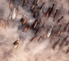 Gallery of Photography by F. Dilek Yurdakul - Turkey