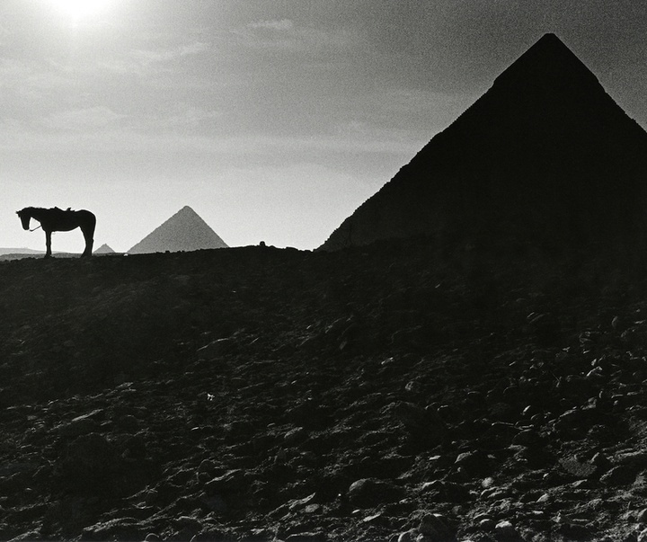 Gallery of Photography by Walter Rothwell - UK