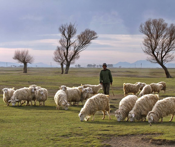 Gallery of photography by Mustafa Shahbaz - Turkey