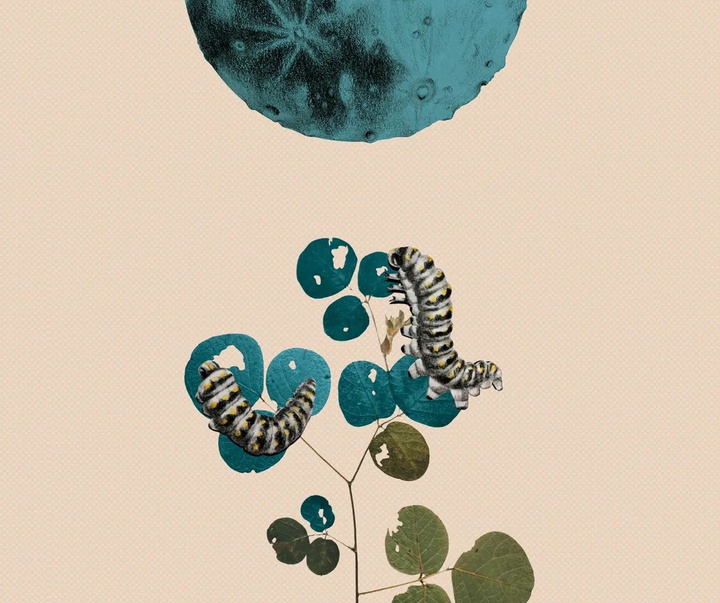 Gallery of Illustration by Sandra Marcela Restrepo - Colombia