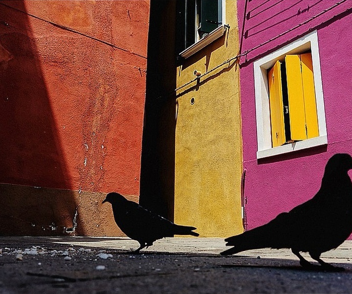 Gallery of Photography by Mirko Saviane - Italy