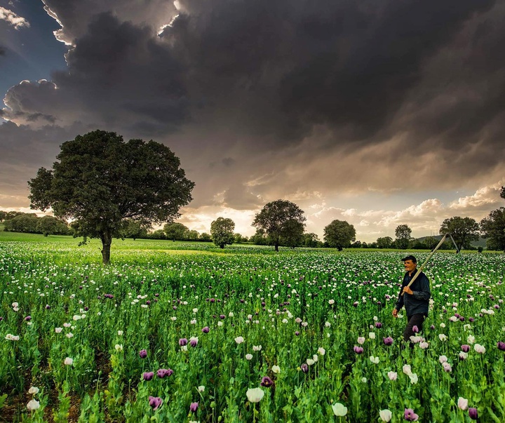 Gallery of Photos by Aygul Ozturk-Turkey