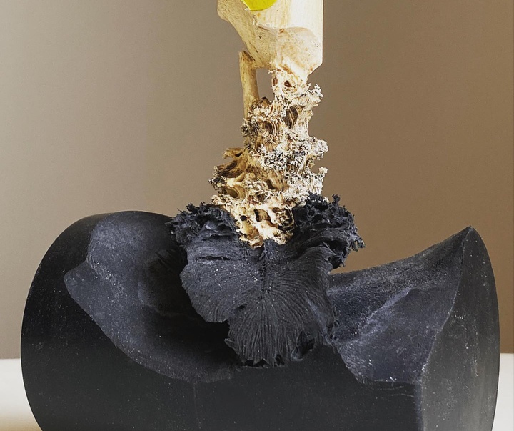 Gallery of Modern Art by Maskull Lasserre - Canada