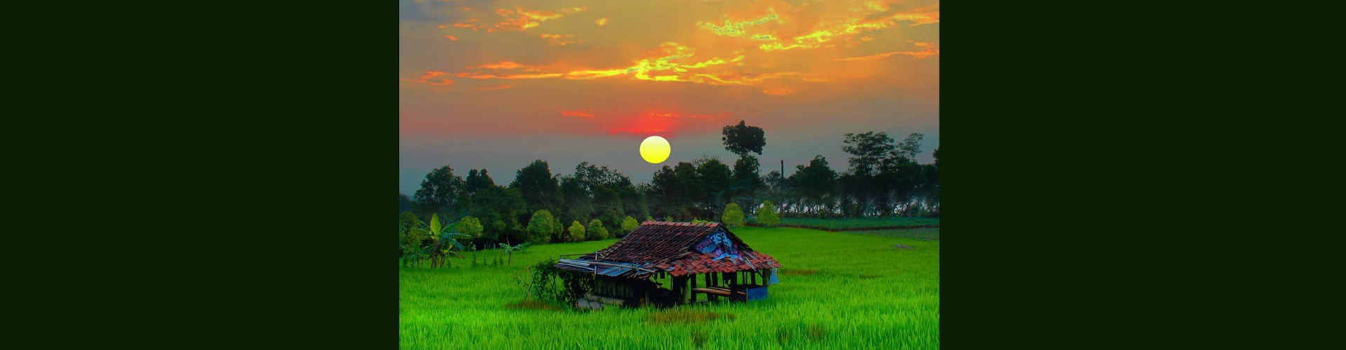 Gallery of Photos by Okka Supardan-Indonesia