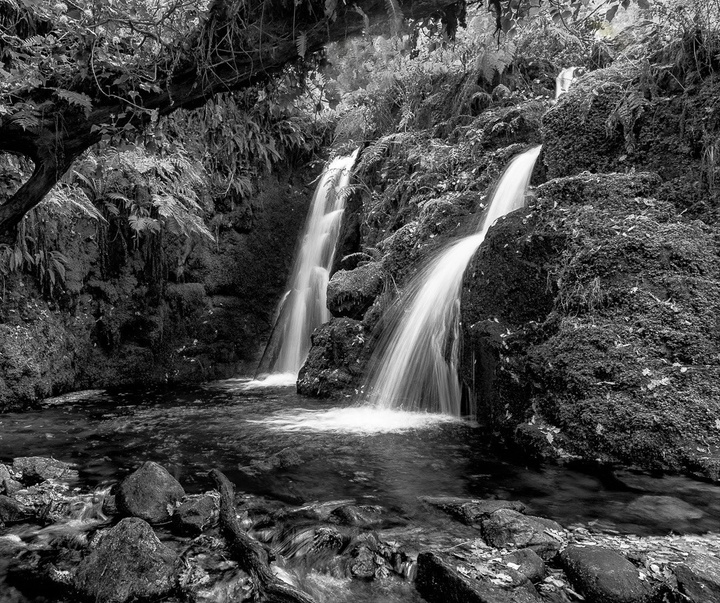 Gallery of photography by G.B. Smith - England