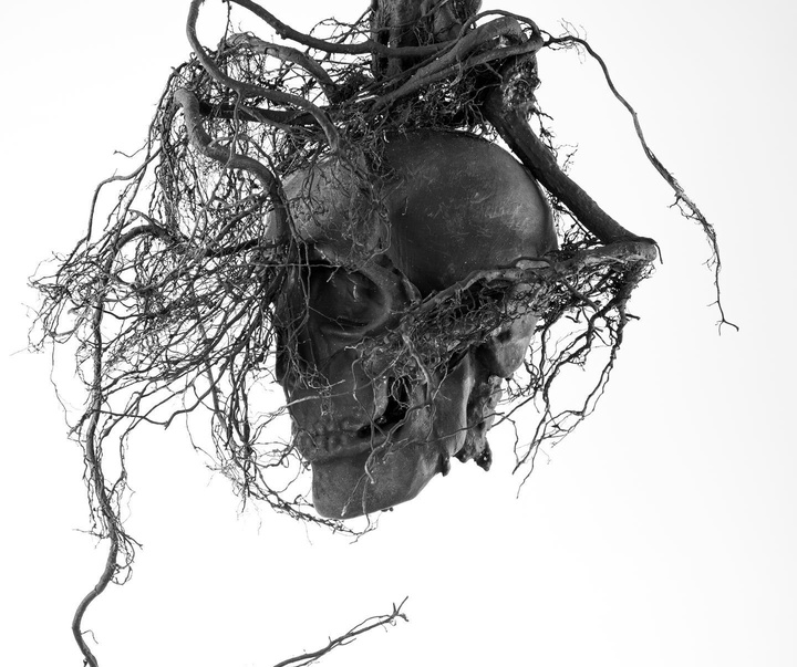 Gallery of Sculpture by Gino Lucas - Belgium