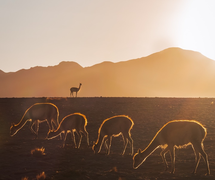 Gallery of Photography by Chris Ha - USA