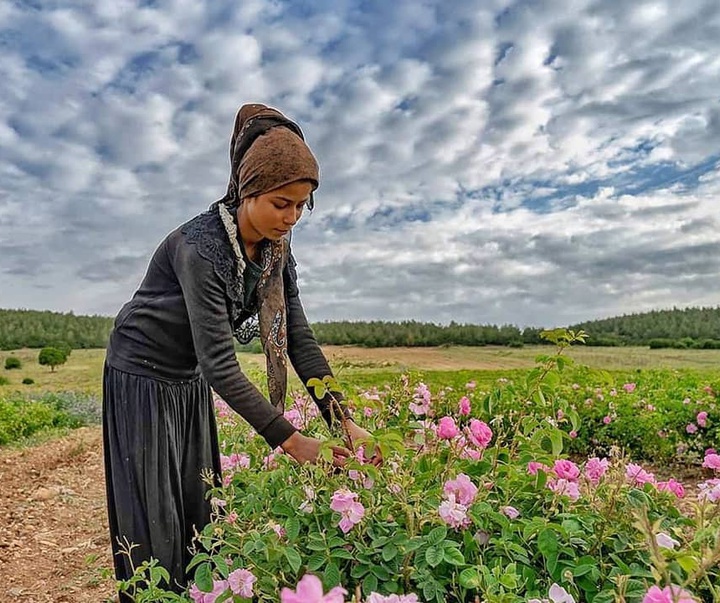 Gallery of photography by Dr.Aylin Yildirim - Turkey