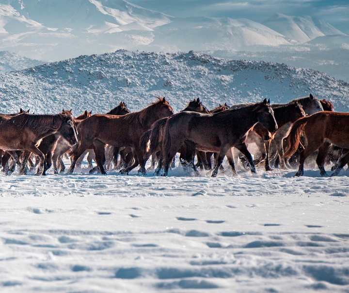 Gallery of Photography by Ahmet Erdem - Turkey