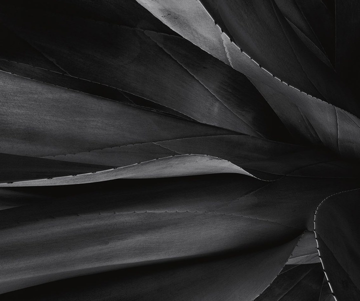 Gallery of Photography by Jonas Bjerre-Poulsen - Denmark