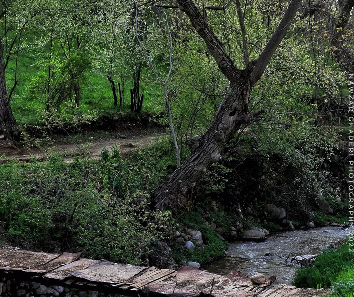 Gallery of photography by Nawzad Ghaderi - Iran