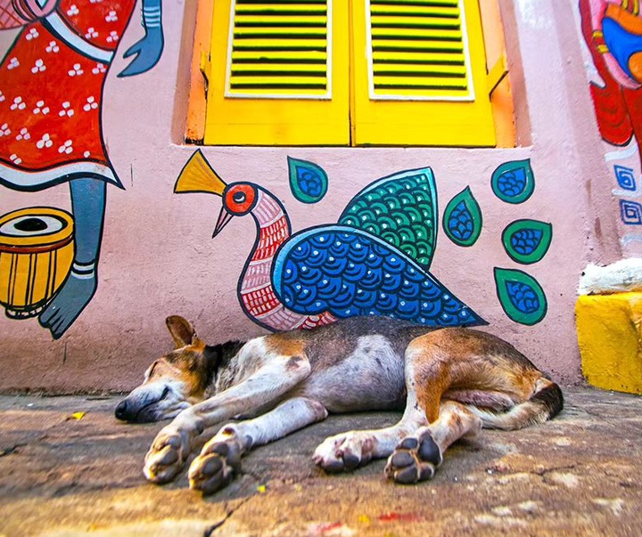 Gallery of Photography by Arunava Kundu - India