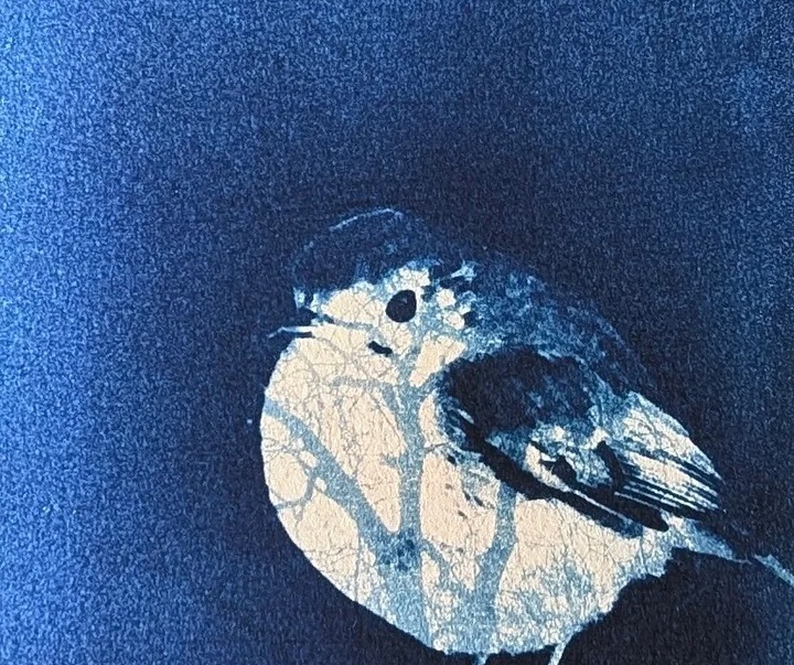 Gallery of Painting & Photography by Jane Constable - UK