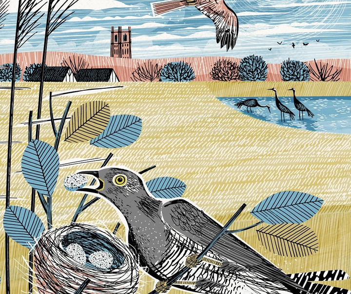 Gallery of Illustration by Matt Johnson - UK