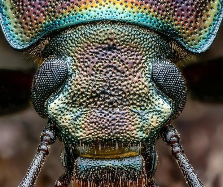 Gallery of Photography by Ben Salb - USA