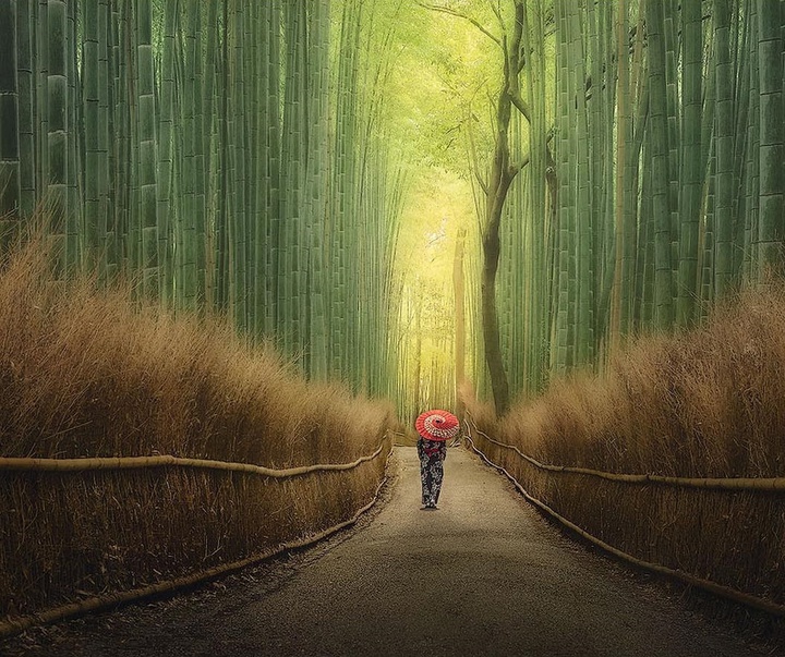 Gallery of Photography by Juan Solís