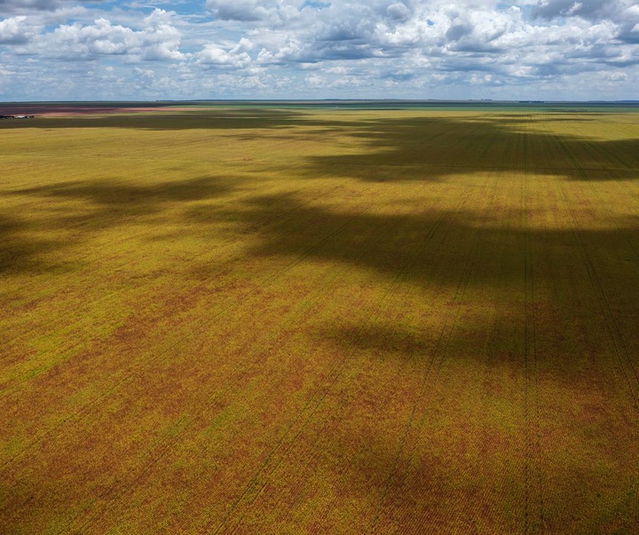 Gallery of Photography by Lalo de Almeida - Brazil