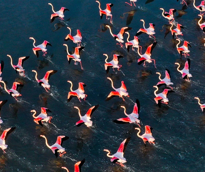 Gallery of Photography by Seymen Bozaslan - Turkey