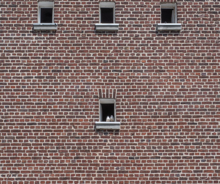 Gallery of Photography by Klaus Lenzen - Germany