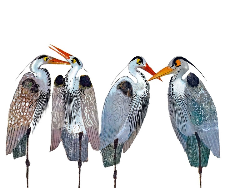 Gallery of Illustration by Brian Wildsmith - UK