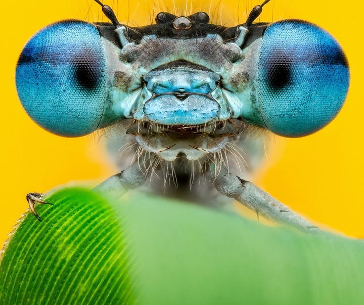 Gallery of Photography by Ben Salb - USA