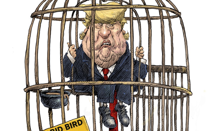 Trump, the Rabid Bird
