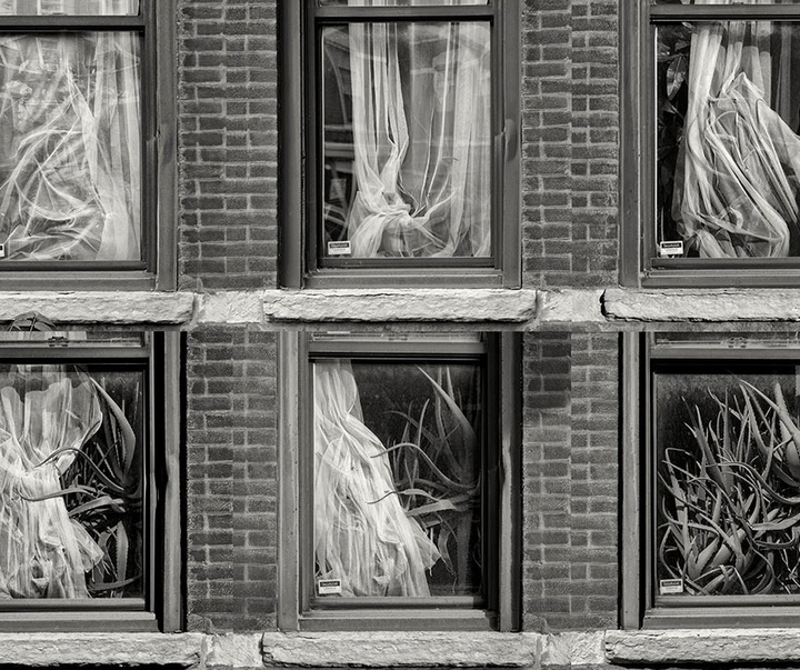 Gallery of Photography by Kevin Lyle - USA