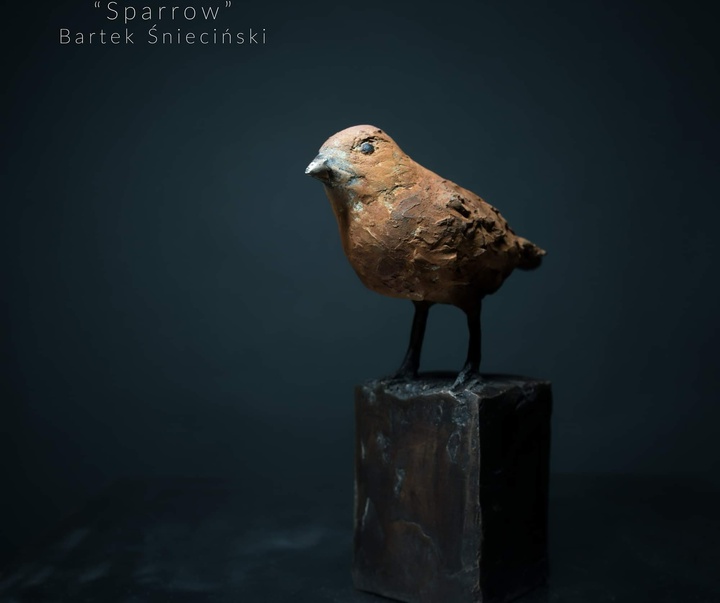 Gallery of Sculpture by Bartek Śnieciński - Poland