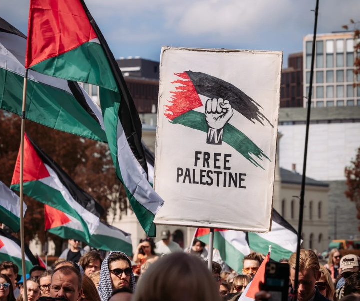 Gallery of Photography by Eyad Al Zaro - Palestine