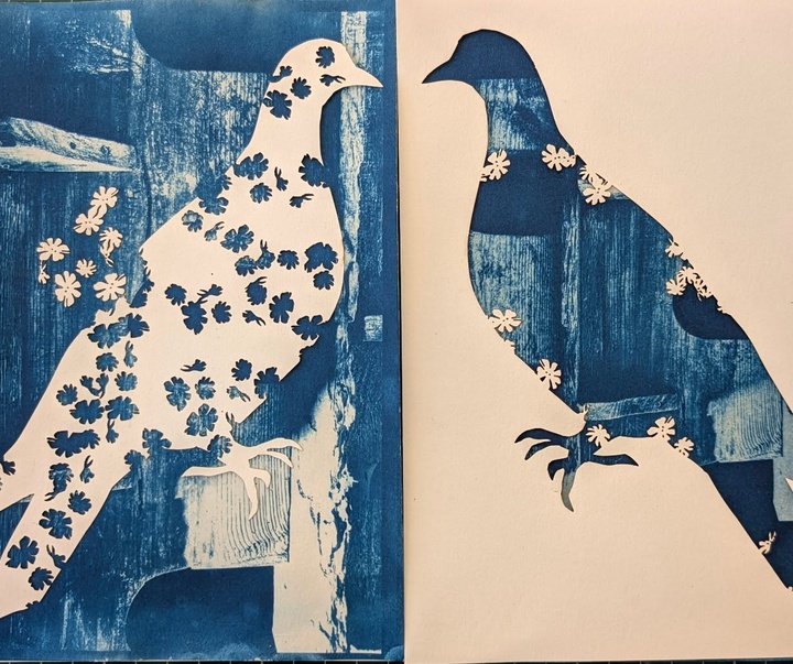 Gallery of Painting & Photography by Jane Constable - UK