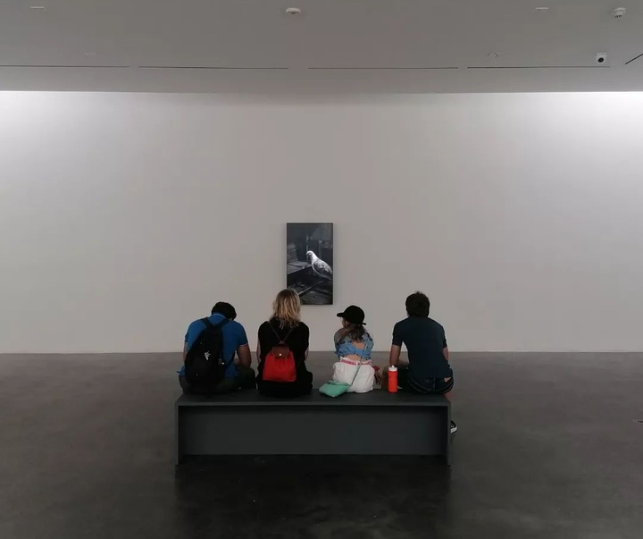 Gallery of Modern Art by John Gerrard - Ireland