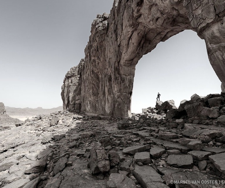 Gallery of Photography by Marsel van Oosten- Netherlands