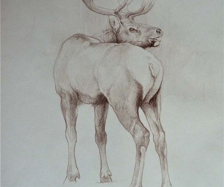 Gallery of Drawing by John Perry Baumlin- American