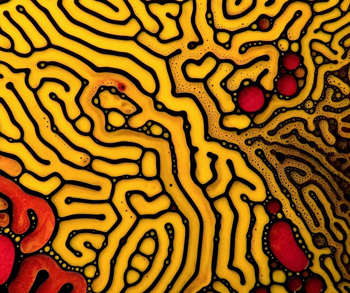 Gallery of Modern Art by Kamil Czapiga - Poland