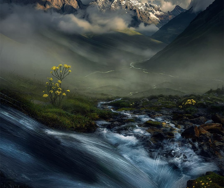 Gallery of Photography by Max Rive - Netherlands