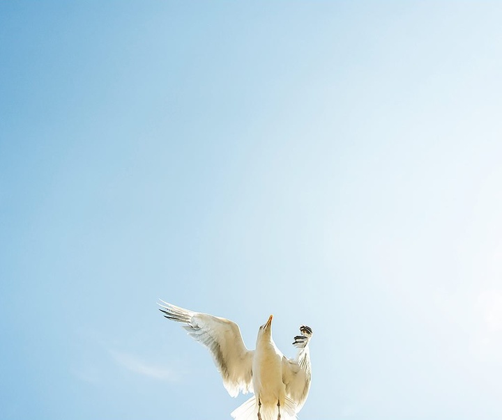 Gallery of Photography by Gustav Gräll - Sweden