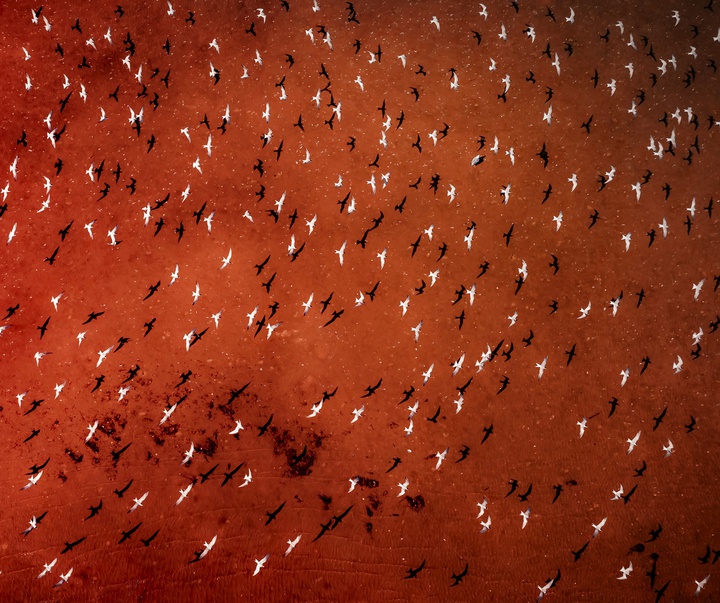Gallery of Photography by Joanna Steidle - USA