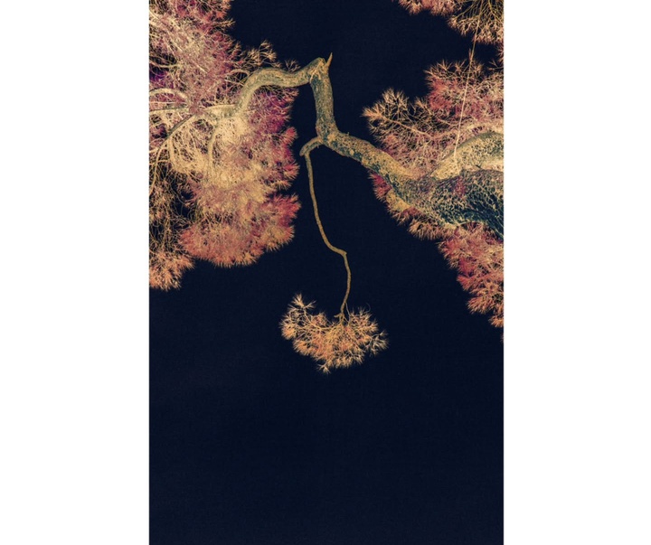 Gallery of Photography by Eva Chupikova - Slovakia