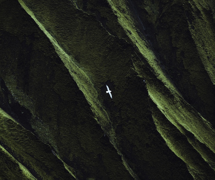 Gallery of Photography by Dani Guindo - Spain