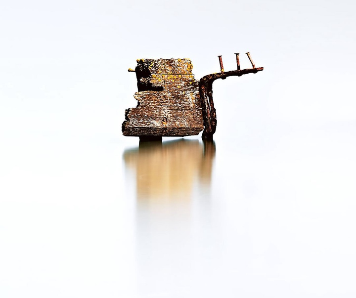 Gallery of Photography by Emma Steele